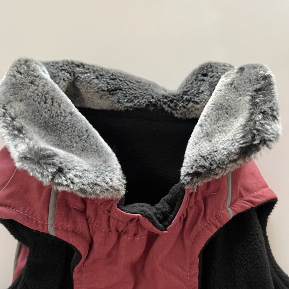 Dog winter coat - Picture 5 of 8